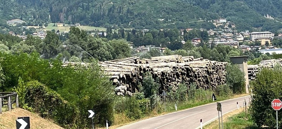 Durante il periodo di siccità alcune segherie “annaffiavano” il legname in deposito nonostante i divieti per i residenti